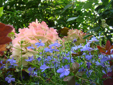 DSC04141.JPG