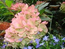 DSC04145.JPG
