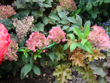 DSC04148.JPG