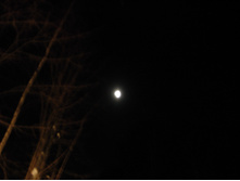 23.02.2010 11:36:30