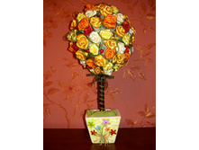������ �� �������� ���