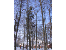24.02.2010 12:29:45