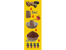 cocos.jpg