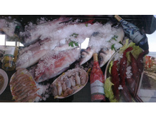 18022012024.jpg