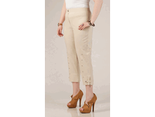 010-216 �������,�����,�������.gif