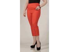 010-253 ������-���������.gif