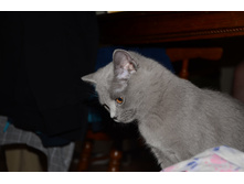 DSC_3693.JPG