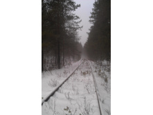 IMAG0614.jpg