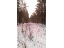 IMAG0633.jpg