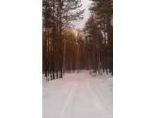 IMAG0635.jpg