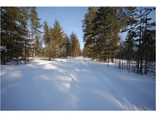DSC_9777.jpg