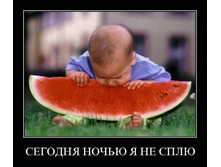 26.02.2010 12:29:25