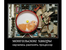 26.02.2010 12:29:42