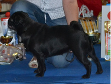 DSC_00570.jpg