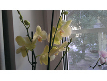 IMAG0246.jpg