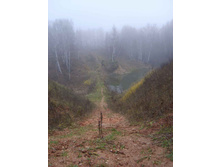 26.02.2010 19:51:56