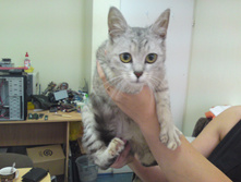 DSC01854.JPG