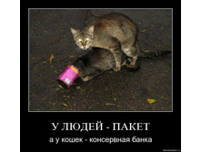 27.02.2010 11:24:08