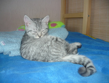 27.02.2010 12:38:08