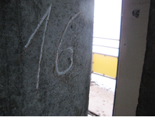 IMG_6734.jpg