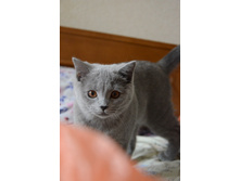 DSC_4003.JPG