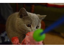 DSC_4013.JPG