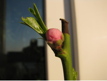 01.03.2010 15:28:48