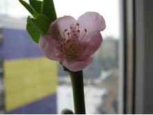 01.03.2010 15:29:18