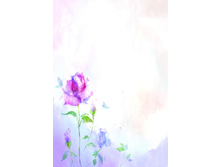 FIS 008 (��������� �����) - ����� ��� �������