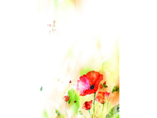 FIS 007 (����) - ����� ��� �������