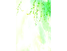 FIS 004 (�������) - ����� ��� �������