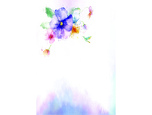FIS 002 (������� ������) - ����� ��� �������