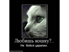 02.03.2010 23:13:12