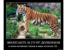 02.03.2010 23:15:18