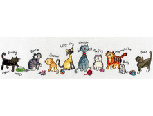 Row of…Cats