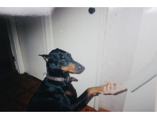 25.07.2012 19:15:08