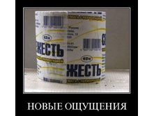 04.03.2010 1:53:10