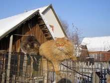 04.03.2010 12:20:51