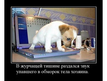04.03.2010 13:07:56