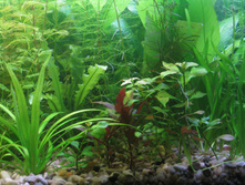 04.03.2010 21:16:52