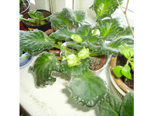 05.03.2010 12:35:04