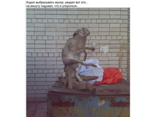 getImage2�.jpg