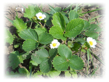DSCN4349.JPG