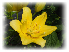DSCN4425.JPG