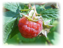 DSCN4428.JPG