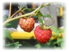 DSCN4429.JPG
