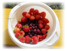 DSCN4442.JPG