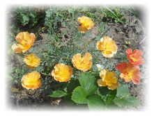 DSCN4473.JPG
