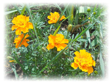 DSCN4476.JPG