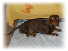 DSCN4563.JPG
